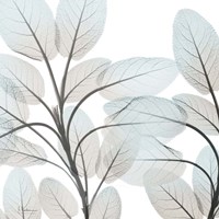 Sandy Blooms 1 Fine Art Print