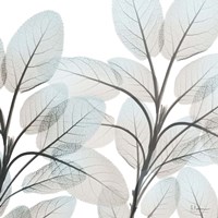 Sandy Blooms 2 Fine Art Print