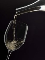 Wine Pour 2 Fine Art Print