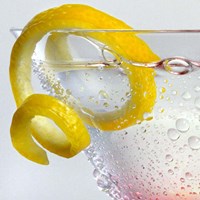 Lemon Twist Fine Art Print