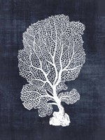 Sea Fan 1 Fine Art Print