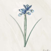 Blue Botanical 2 Fine Art Print