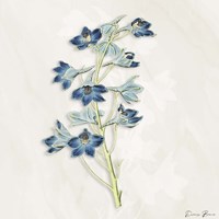 Blue Botanical 3 Framed Print