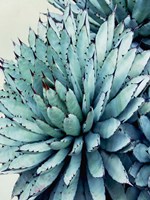 Crushing Green II Fine Art Print