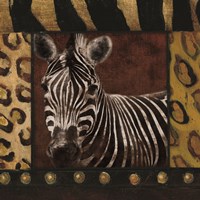 Zebra bordered Framed Print