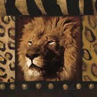 Lion Bordered Framed Print