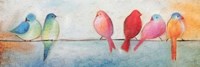 Colorful Birds On A Wire Fine Art Print