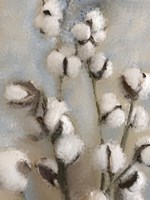 Sprays of Cotton 1 Fine Art Print