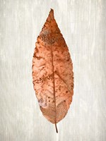 Copper Leaves 1 Framed Print