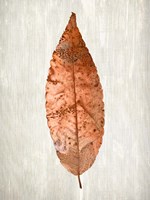 Copper Leaves 1 Fine Art Print
