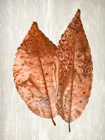 Copper Leaves 2 Fine Art Print