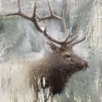 Wildlife 2 Fine Art Print