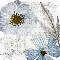 Soft Floral Blue 2 Fine Art Print