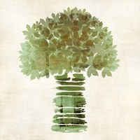 Broccoli Framed Print