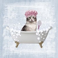Fun Kitty Bath 1 Fine Art Print