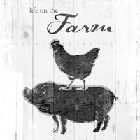 Farm To Chicken Pig Grey Fine Art Print
