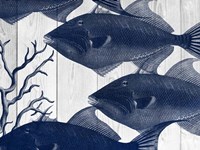 Blue Fish Fine Art Print