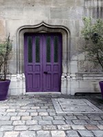 Purple Door 4 Fine Art Print