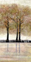 Serene Forest  3 Fine Art Print