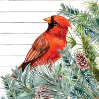 Winter Birds 2 Fine Art Print