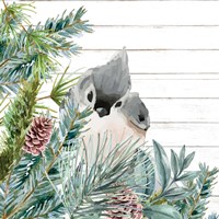 Winter Birds 4 Fine Art Print