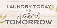 Laundry or Naked Fine Art Print