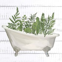 Fern Bath 1 Framed Print