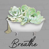 Breathe Succulent Fine Art Print