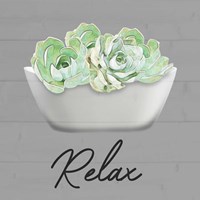 Relaxed Succulent Framed Print