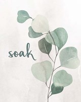 Eucalyptus Bath 2 Framed Print