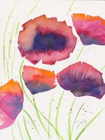 Poppies July Fine Art Print