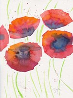 Poppies July 2 Fine Art Print