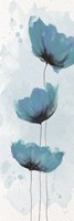 Blue Poppies 1 Framed Print