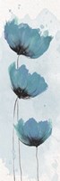 Blue Poppies 2 Fine Art Print