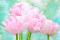 Pretty Pink Fine Art Print