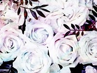 Iridescent Floral 2 Framed Print