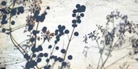 Dried Flowers Fine Art Print