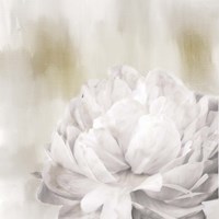 Hidden Fine Art Print