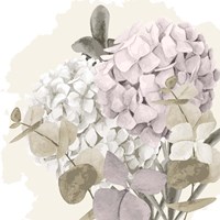 Hydrangea 2 V2 Fine Art Print