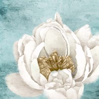 White Peony 1 Fine Art Print