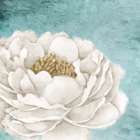 White Peony 2 Fine Art Print