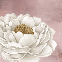 All 3 Fine Art Print