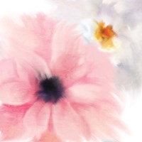 Pink Notes Fine Art Print