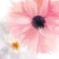 Pink Notes 2 Fine Art Print