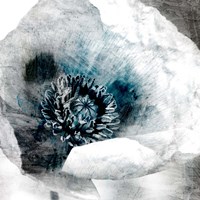 Poppy Center Fine Art Print