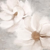 White 2 Fine Art Print