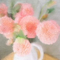 Pink Carnations Fine Art Print