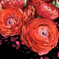 Fiery Ranunculus Fine Art Print