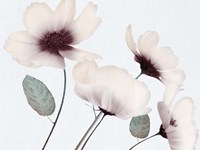 Blooming Youth 1 Fine Art Print