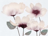 Blooming Youth 2 Fine Art Print